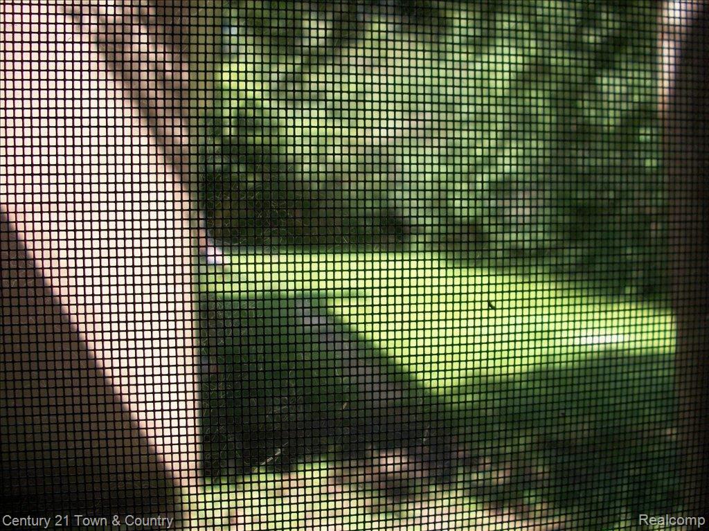25246 Farmbrook Road Southfield, MI 48034 - Photo 12 of 19 Backyard View