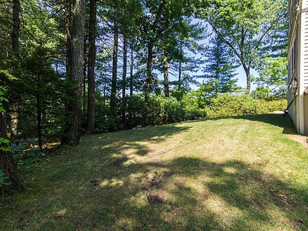 5 Ledgewood Road Winchester, MA 01890 - Photo 30 of 30 Gallery Image 30