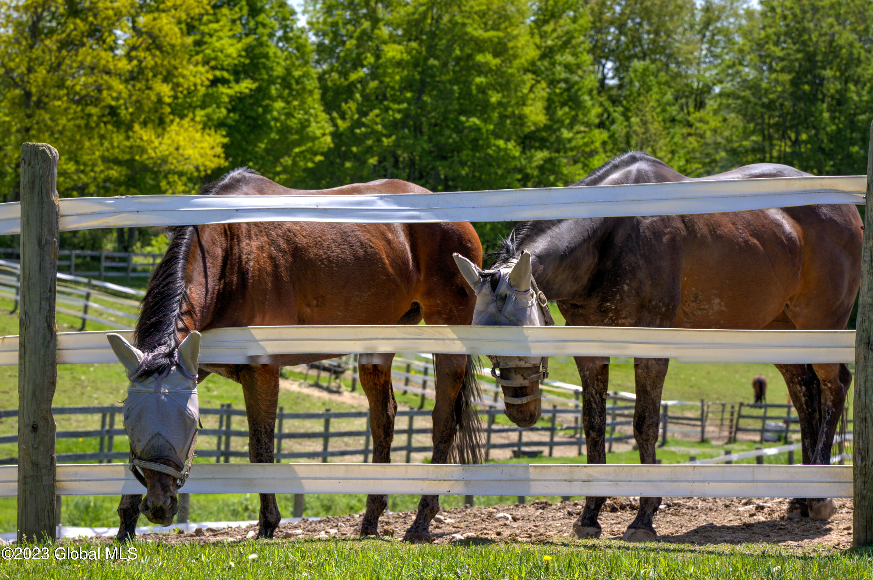 270 Crosier Road Hebron, NY 12865 - Photo 37 of 48 1 (25)