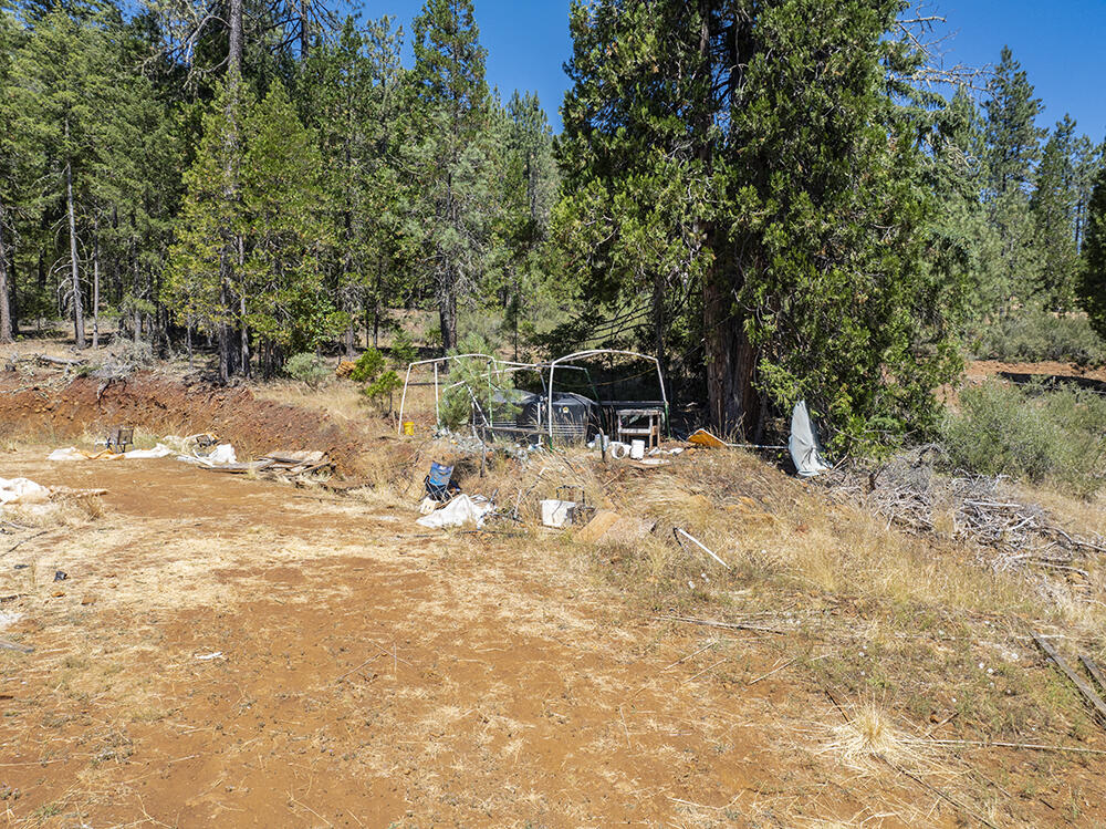 650 Gold Canyon Road Selma, OR 97538 - Photo 29 of 47 32