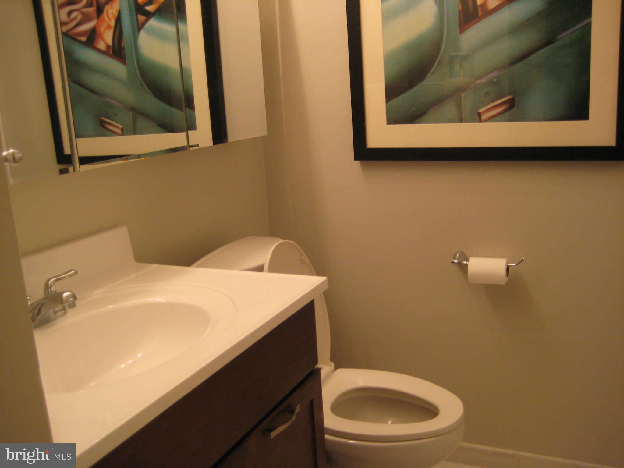 8107 Hatteras Lane Springfield, VA 22151 - Photo 12 of 18 Bath