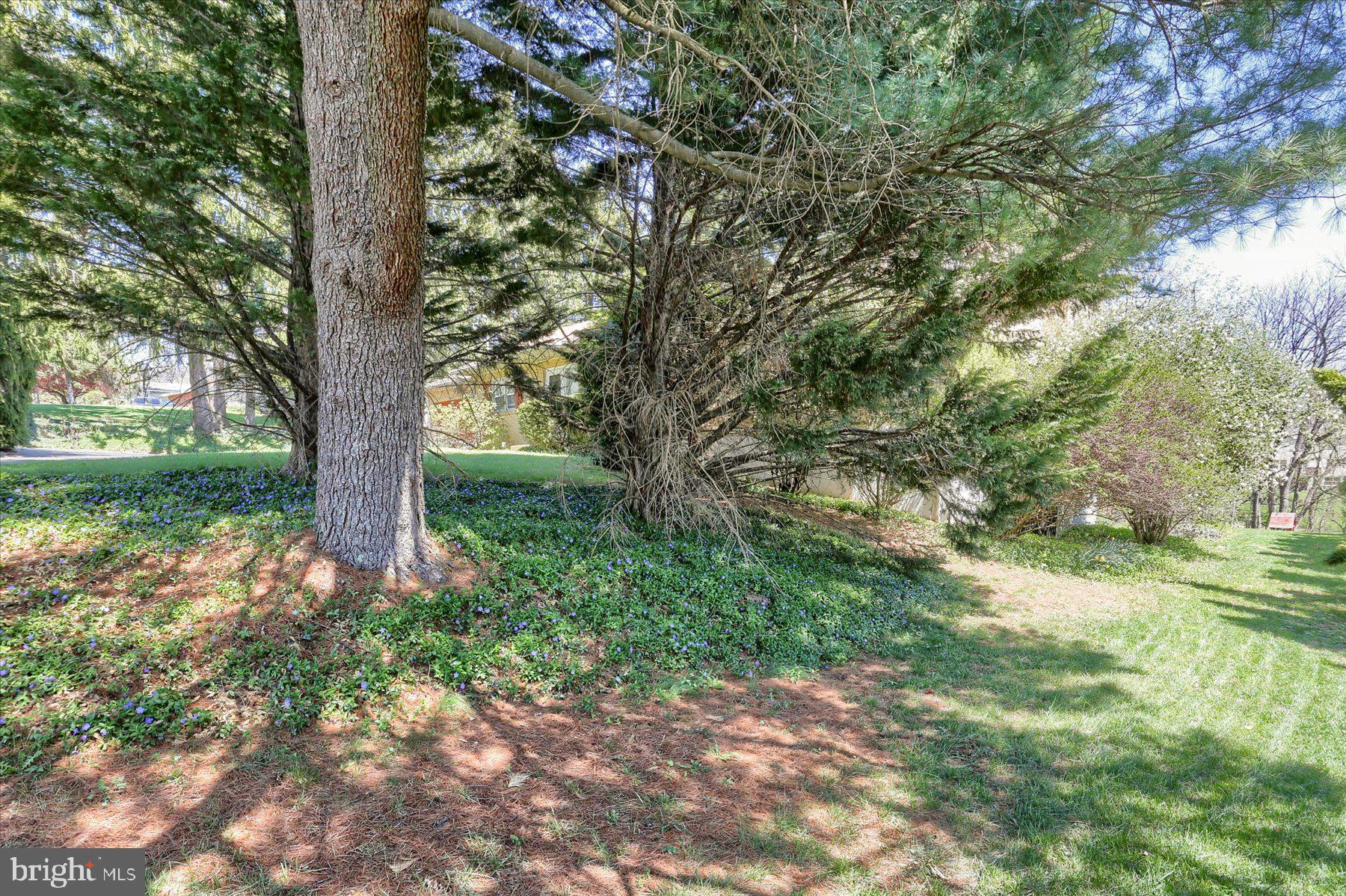 4407 Fargreen Road Harrisburg, PA 17110 - Photo 4 of 35 Gallery Image 4