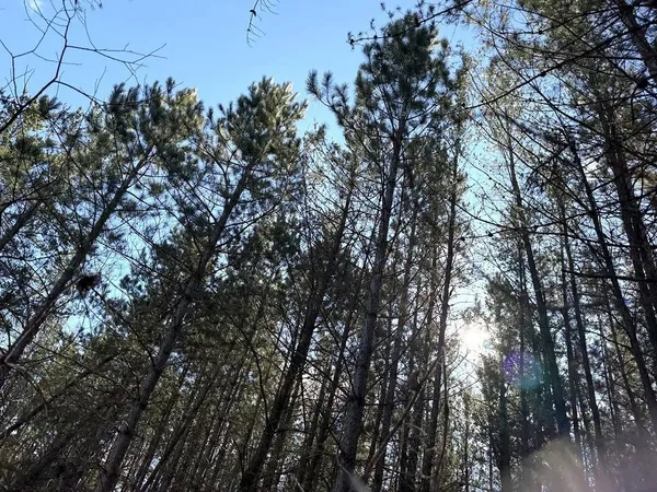 $129,900 | 64 Laporte Mn 56461, Laporte, MN 56461