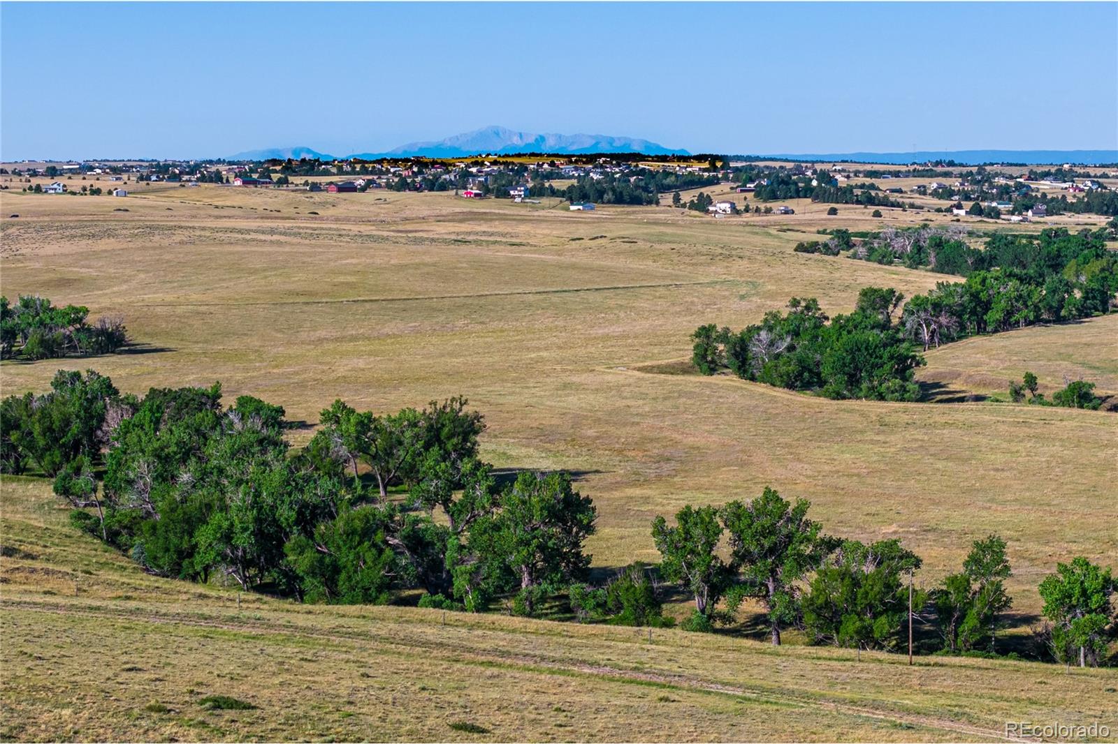 178 County Road Parker, CO 80138 - Photo 19 of 28