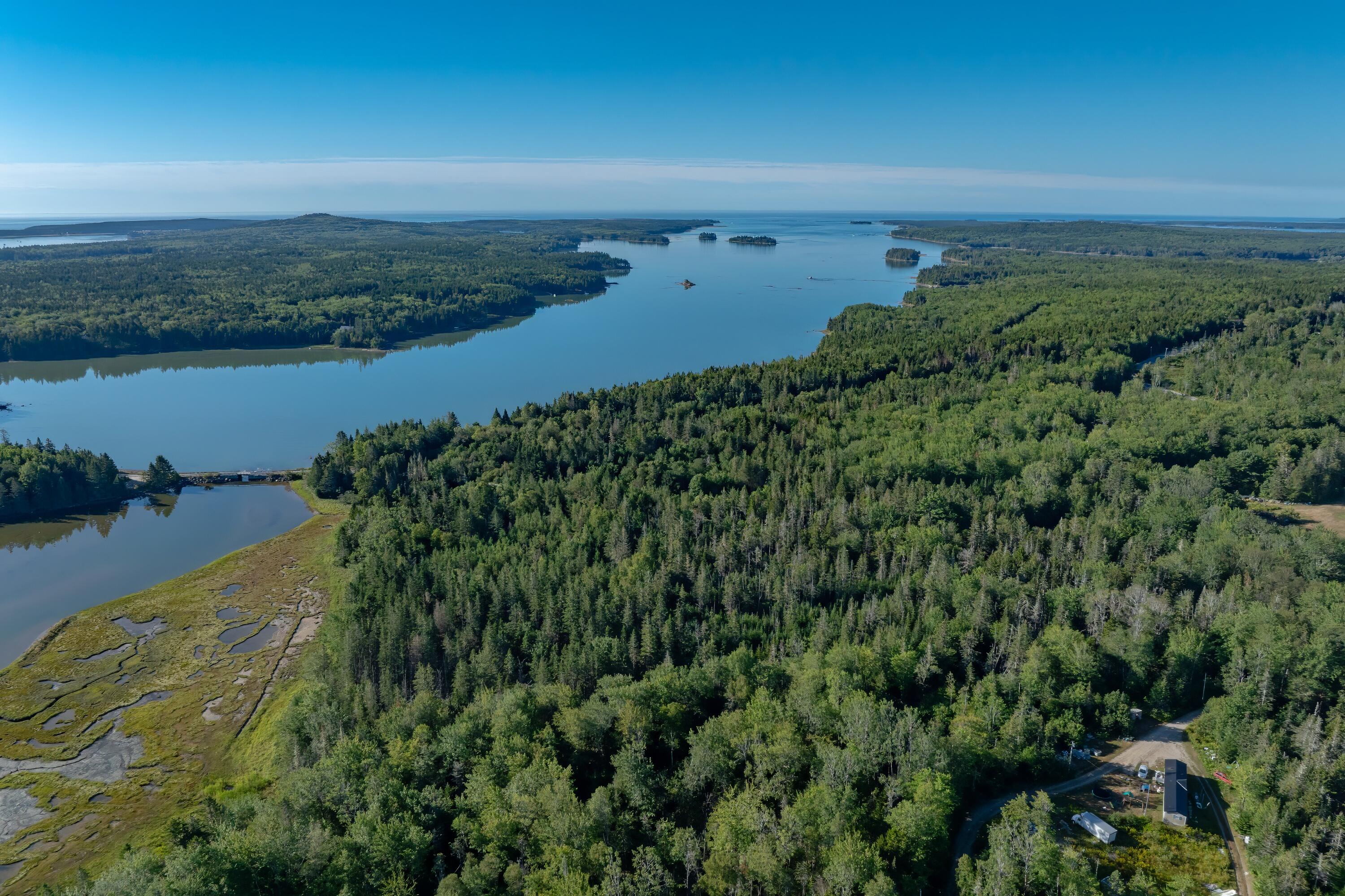 Lot 54 Pinkham Bay Bridge Road Steuben, ME 04680 - Photo 7 of 13