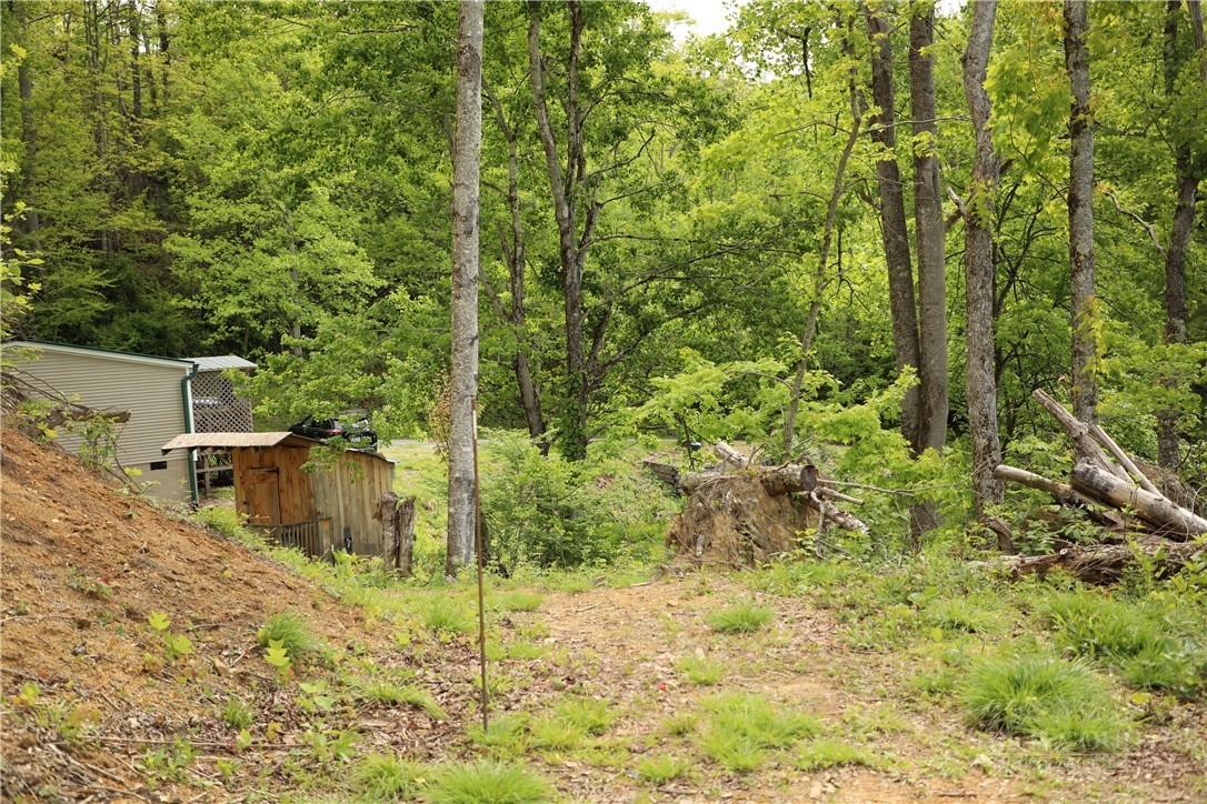 461 Reuben Wooten Road Banner Elk, NC 28604 - Photo 37 of 39 a view of a pathway of a house with a yard