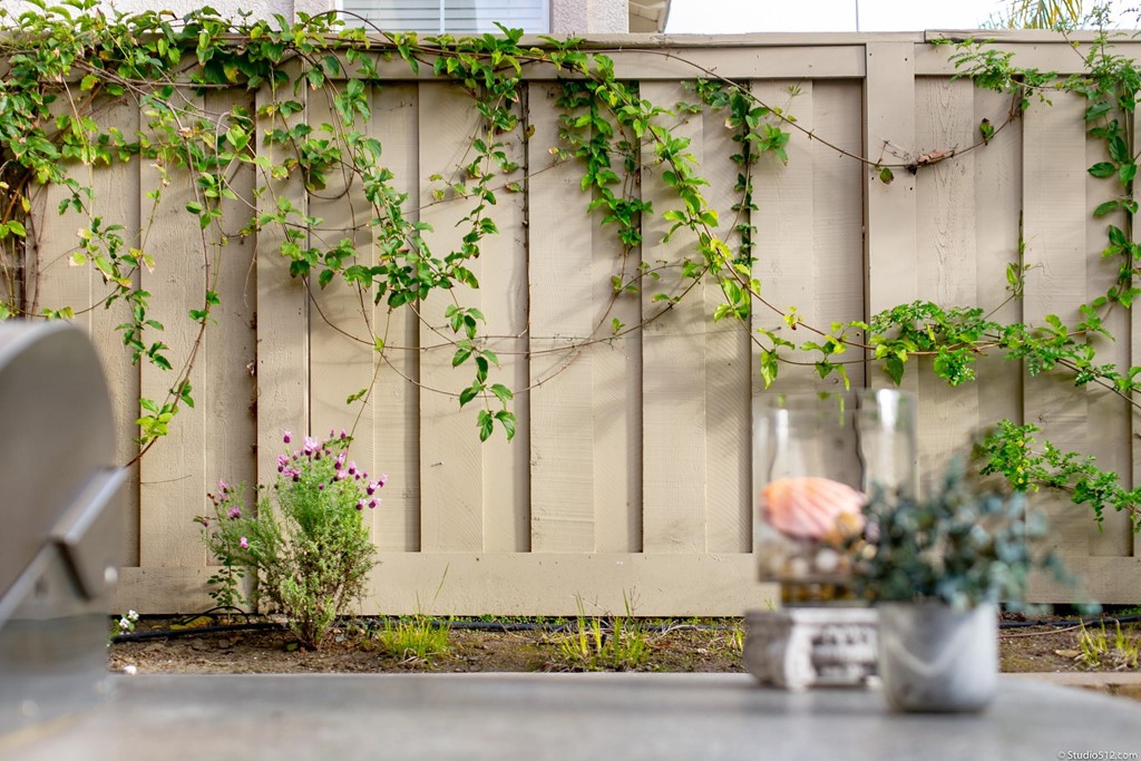 6425 Topmast Drive Carlsbad, CA 92011 - Photo 26 of 32 a front view of a house with a yard and garden