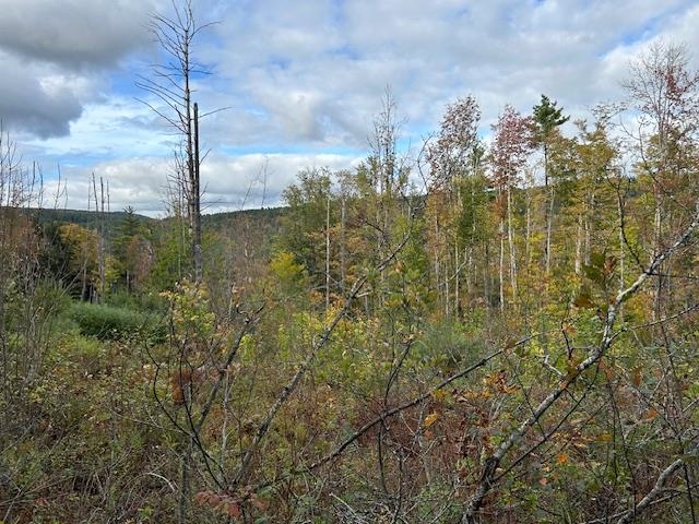 573 Smead Road Wardsboro, VT 05360 - Photo 29 of 34