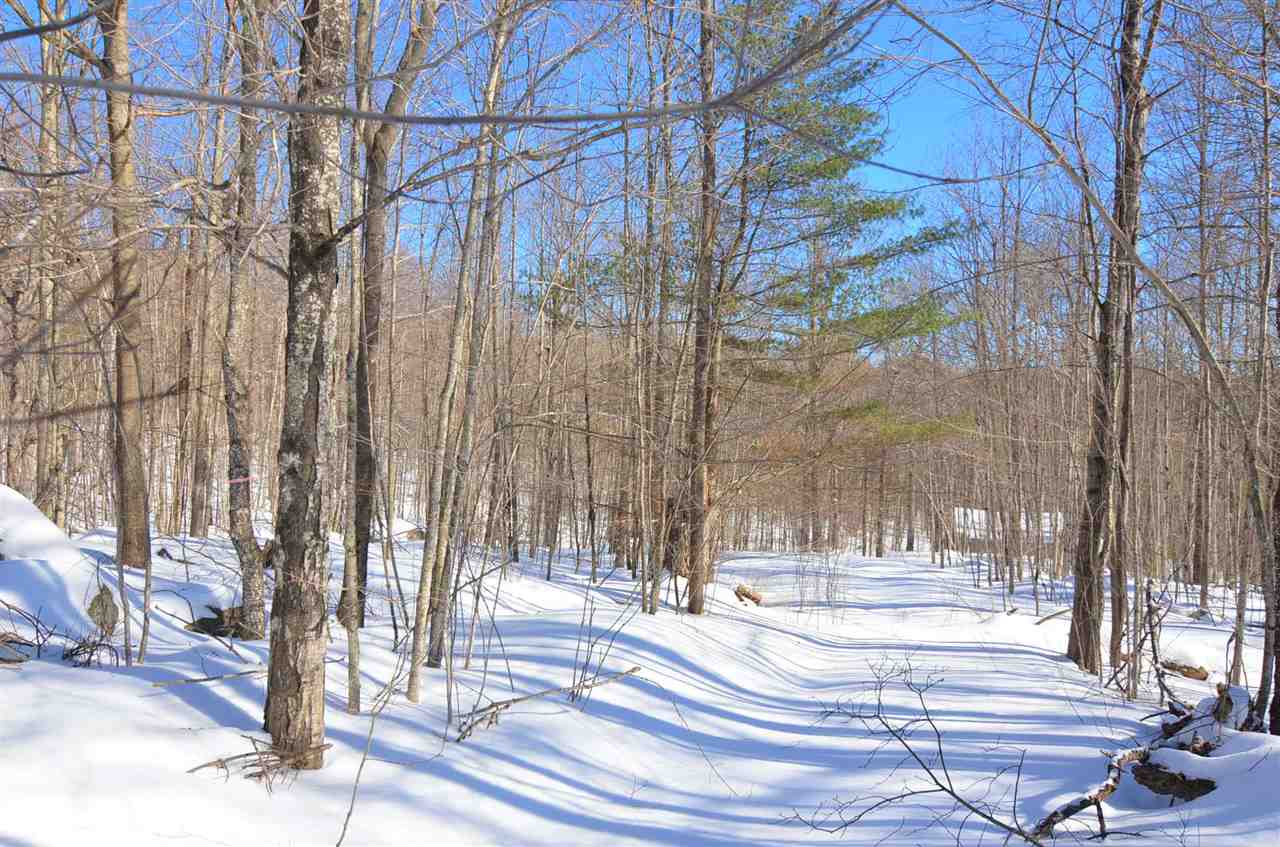 16 Springfield Road, Unit 16 & 17 Newport, NH 03773 - Photo 7 of 10