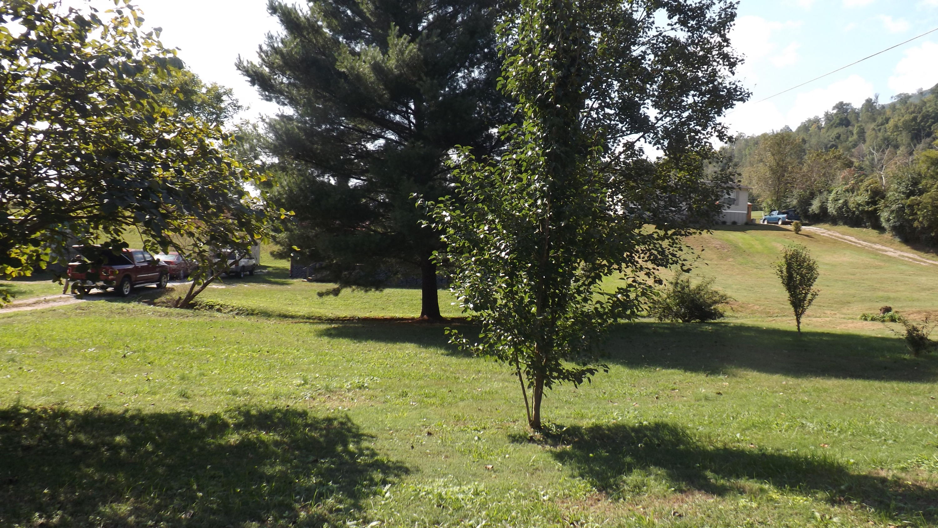 143 Carey Road Speedwell, TN 37870 - Photo 16 of 18 DSCF6203