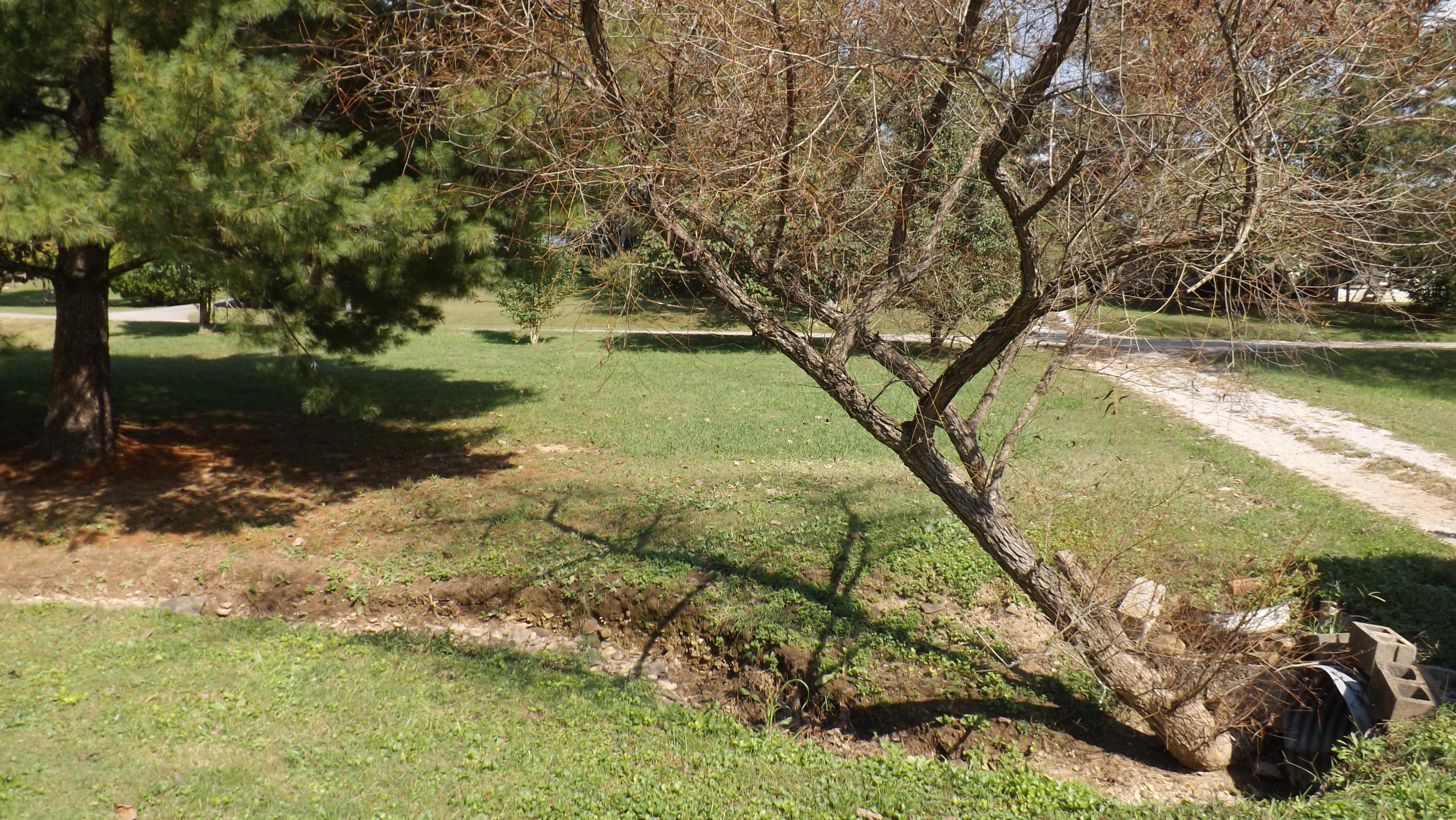 143 Carey Road Speedwell, TN 37870 - Photo 18 of 18 DSCF6210