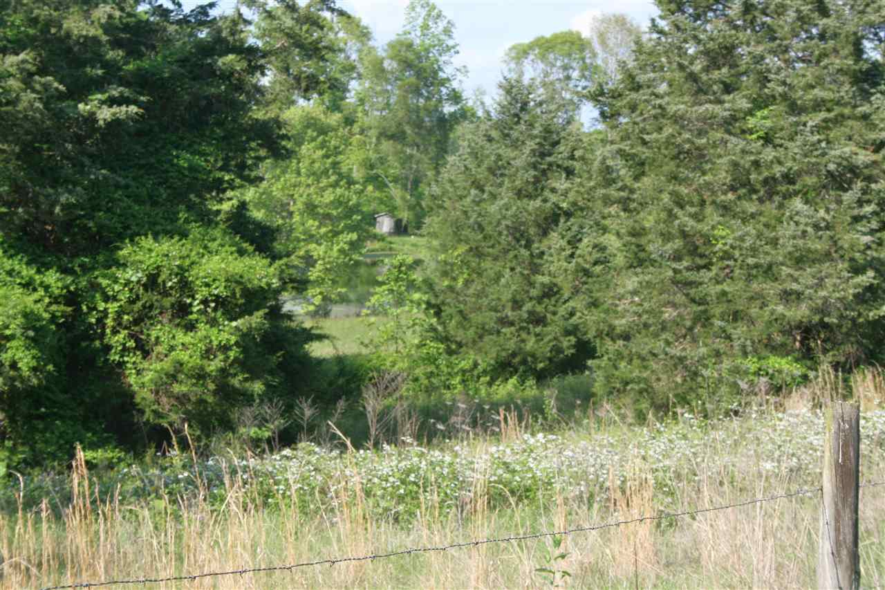 798 Bibb Store Road Louisa, VA 23093 - Photo 21 of 26 Gallery Image 21
