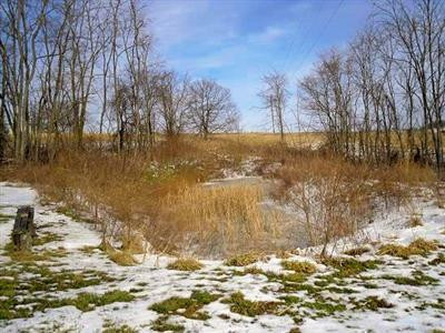 3285 Aarons Run Road Mount Sterling, KY 40353 - Photo 35 of 41 Photo 35