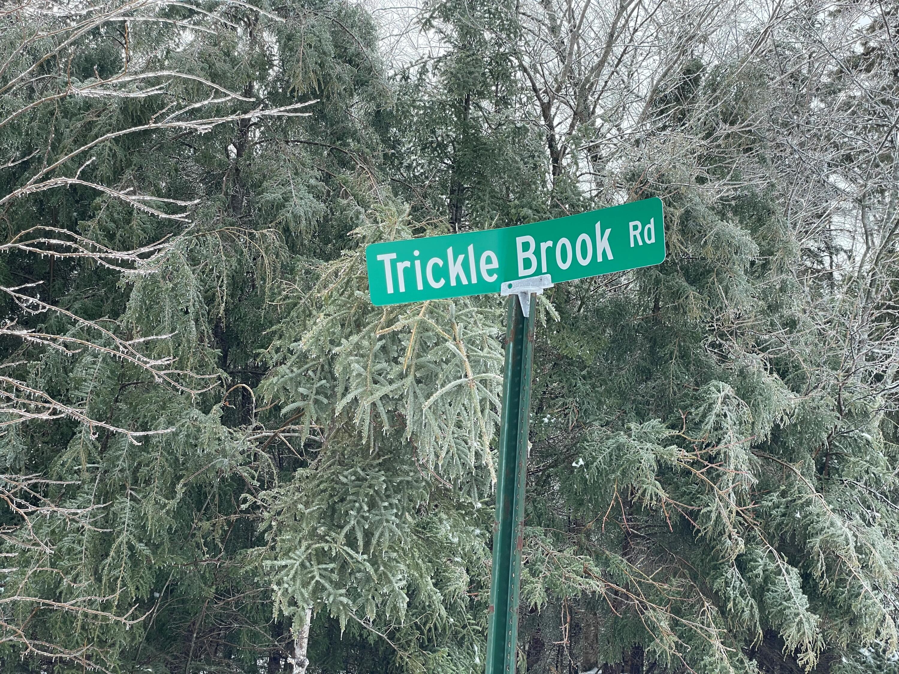 Lot 15 Trickle Brook Road Cherryfield, ME 04622 - Photo 3 of 5 PIC TO USE 3