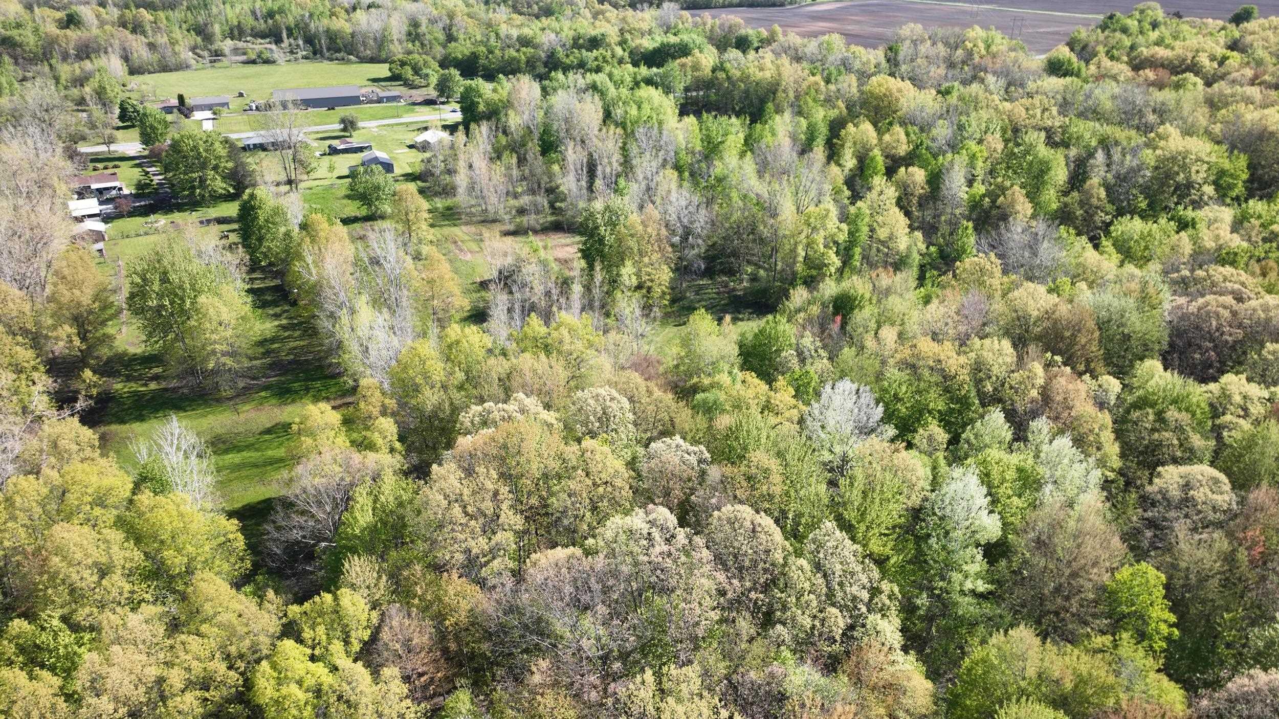 1546 East Birch Run Road Burt, MI 48417 - Photo 98 of 99 Gallery Image 98
