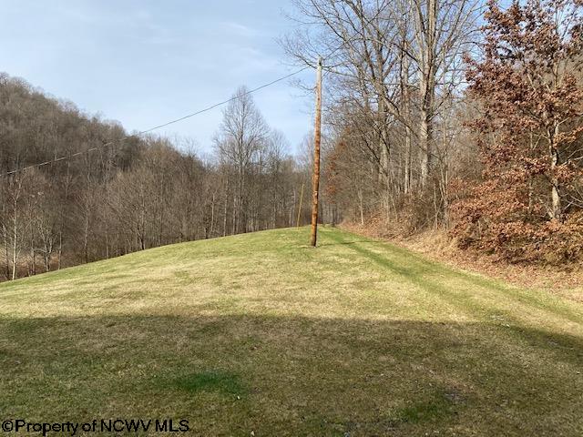 347 Red Hawk Road Wallace, WV 26448 - Photo 3 of 22 Gallery Image 3