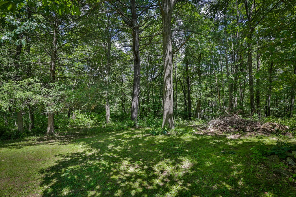 25 East Bare Hill Road Harvard, MA 01451 - Photo 17 of 20 Gallery Image 17