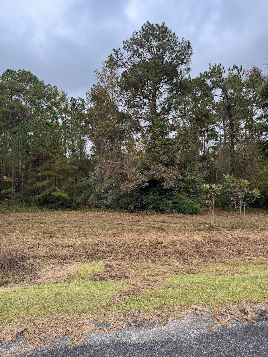13 Raven Run Havana, FL 32333 - Photo 11 of 29