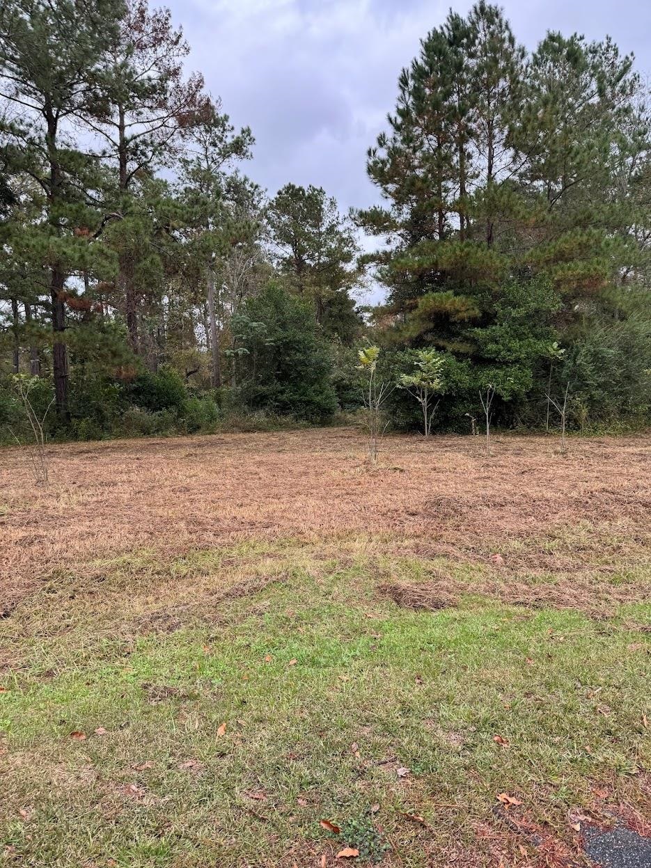 13 Raven Run Havana, FL 32333 - Photo 17 of 29