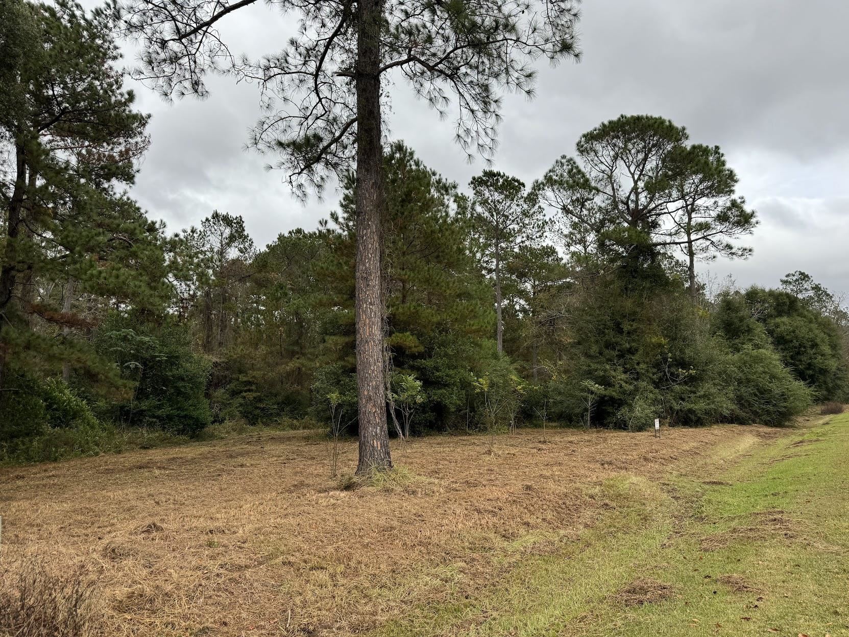 13 Raven Run Havana, FL 32333 - Photo 19 of 29