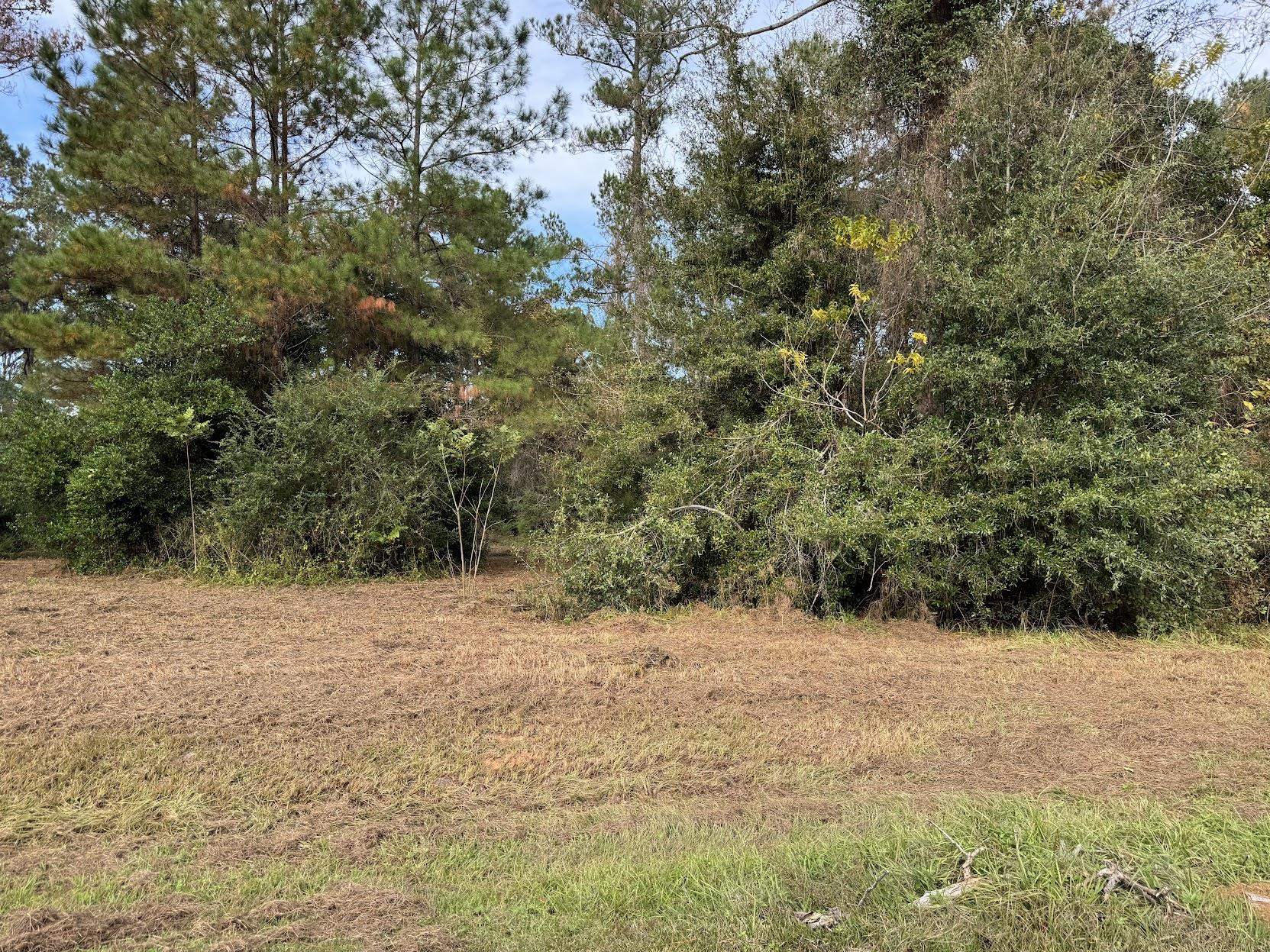 13 Raven Run Havana, FL 32333 - Photo 5 of 29