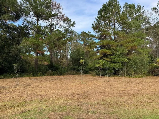 $44,500 | 13 Raven Run, Havana, FL 32333