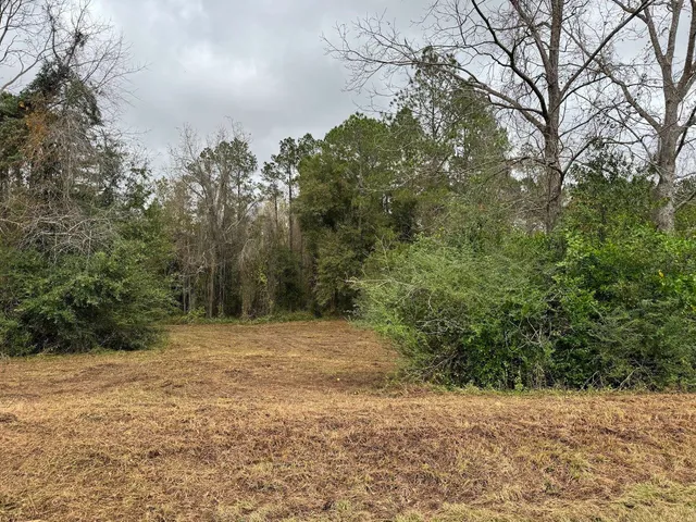 $44,500 | 13 Raven Run, Havana, FL 32333