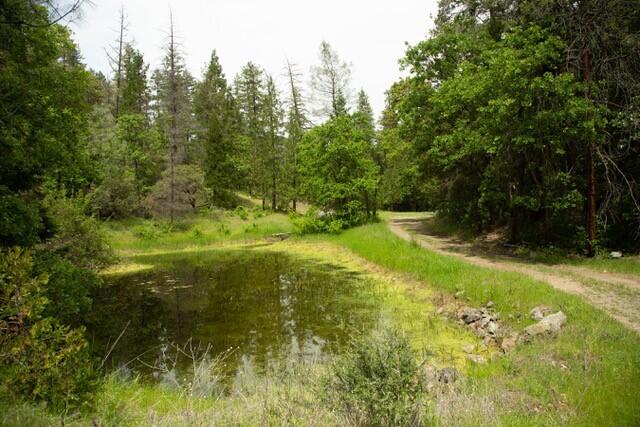 10041 Highway 299, Unit 299 Burnt Ranch, CA 95527 - Photo 31 of 44