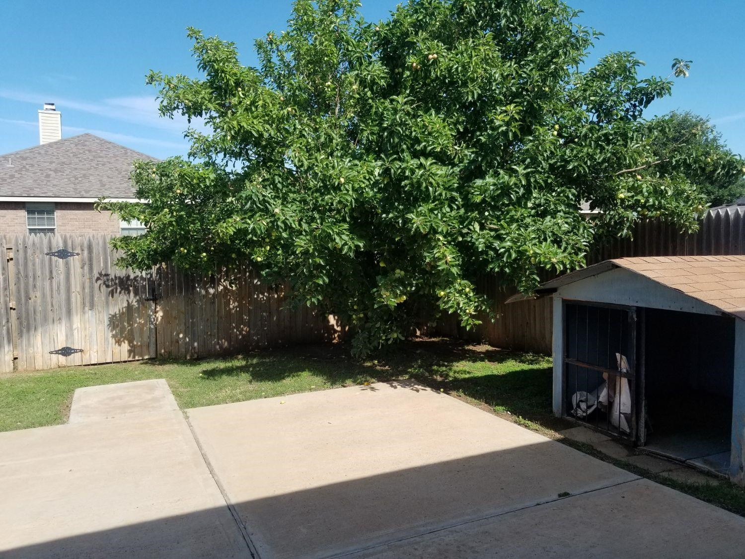 9304 Ridgely Avenue Lubbock, TX 79424 - Photo 16 of 17 Photo 17
