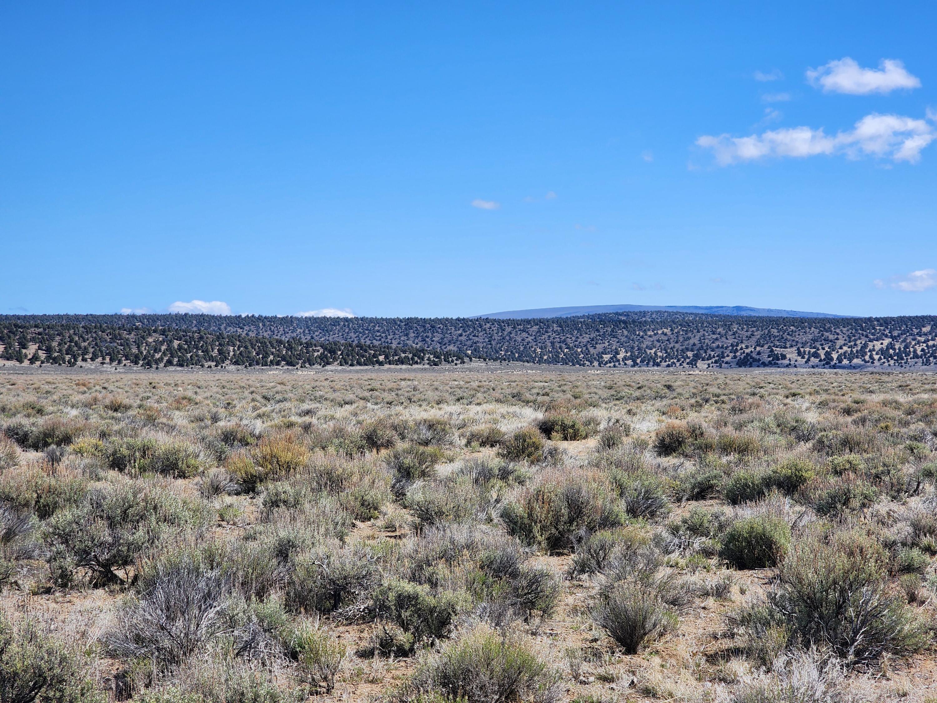 57591 Ft Rock Road Bend, OR 97701 - Photo 4 of 12 20240417_111648