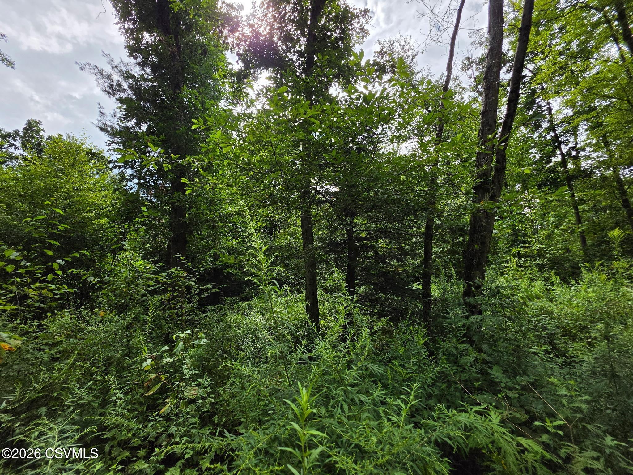 6102 Troxelville Road Beavertown, PA 17813 - Photo 12 of 43 Gallery Image 12
