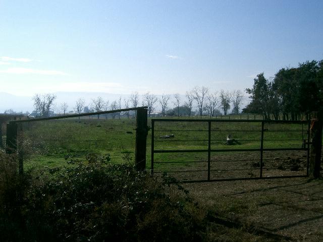 1150 Mountainview Road Grandview, WA 98930 - Photo 7 of 9 a view of a backyard