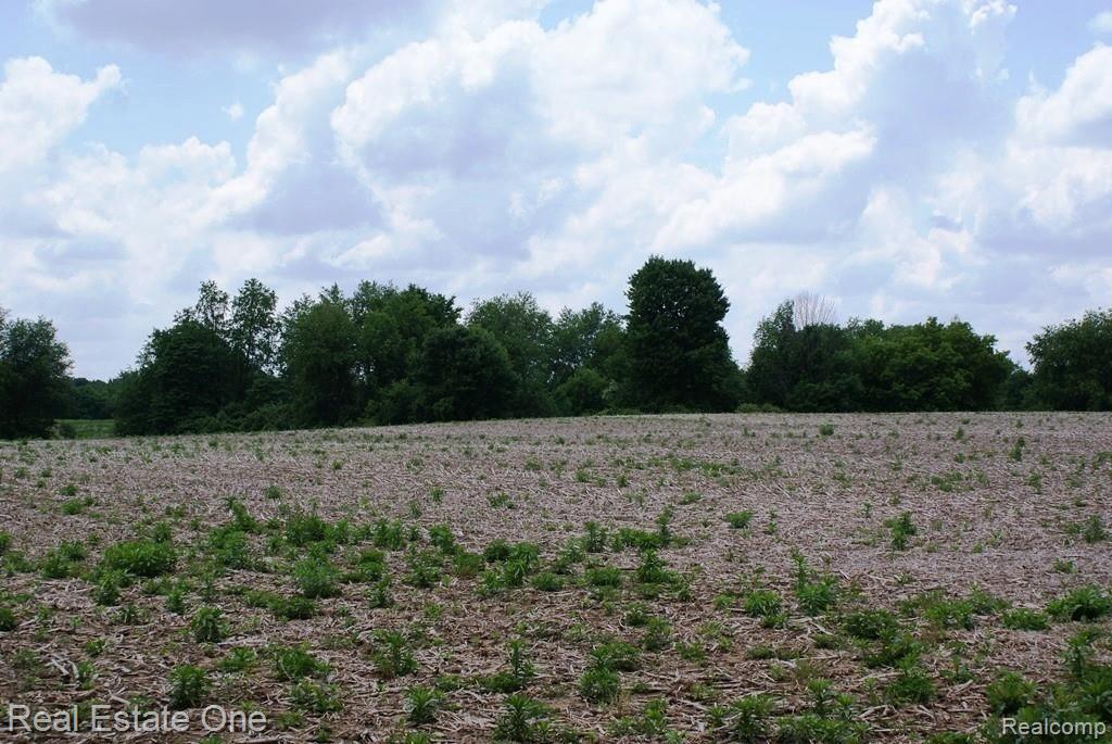 Parcel C Lum Road Attica, MI 48412 - Photo 6 of 11 Gallery Image 6
