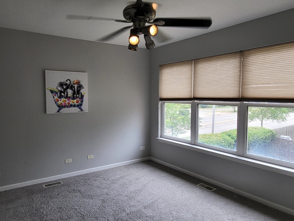 2949 Brossman Street Naperville, IL 60564 - Photo 35 of 61 an empty room with windows and fan