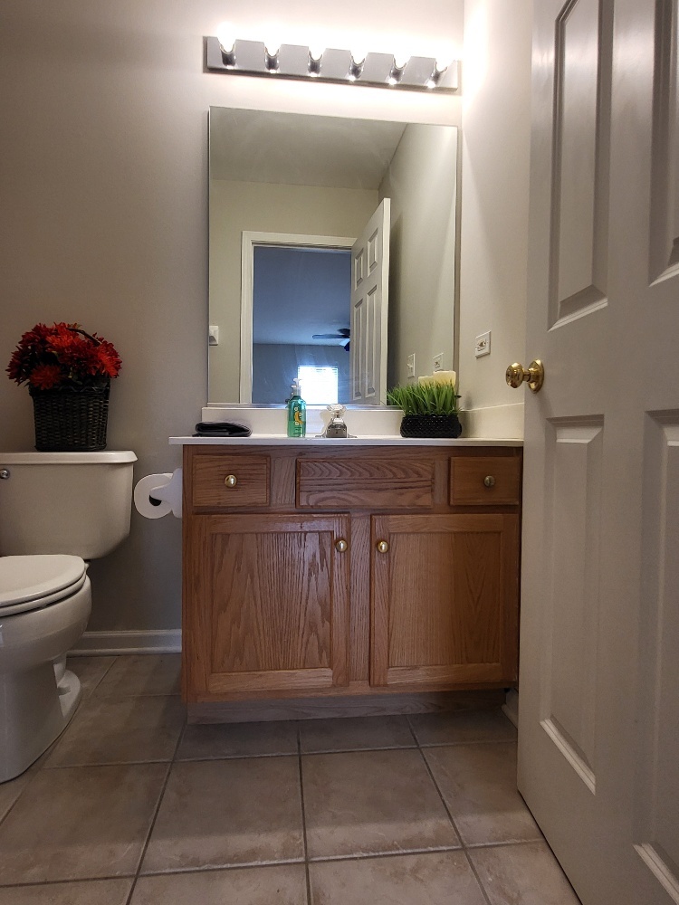 2949 Brossman Street Naperville, IL 60564 - Photo 39 of 61 a spacious bathroom with a toilet a sink and mirror