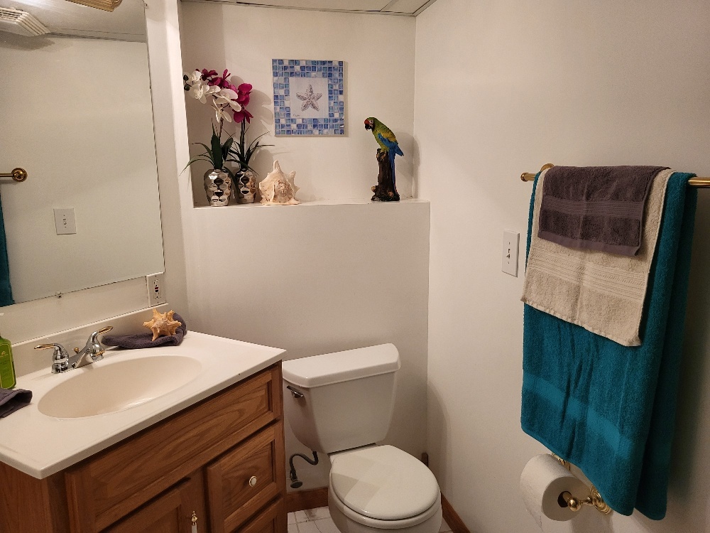 2949 Brossman Street Naperville, IL 60564 - Photo 51 of 61 a bathroom with a sink toilet and mirror