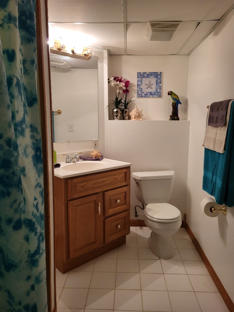 2949 Brossman Street Naperville, IL 60564 - Photo 52 of 61 a bathroom with a toilet sink and mirror