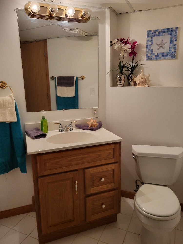 2949 Brossman Street Naperville, IL 60564 - Photo 53 of 61 a bathroom with a toilet sink and mirror
