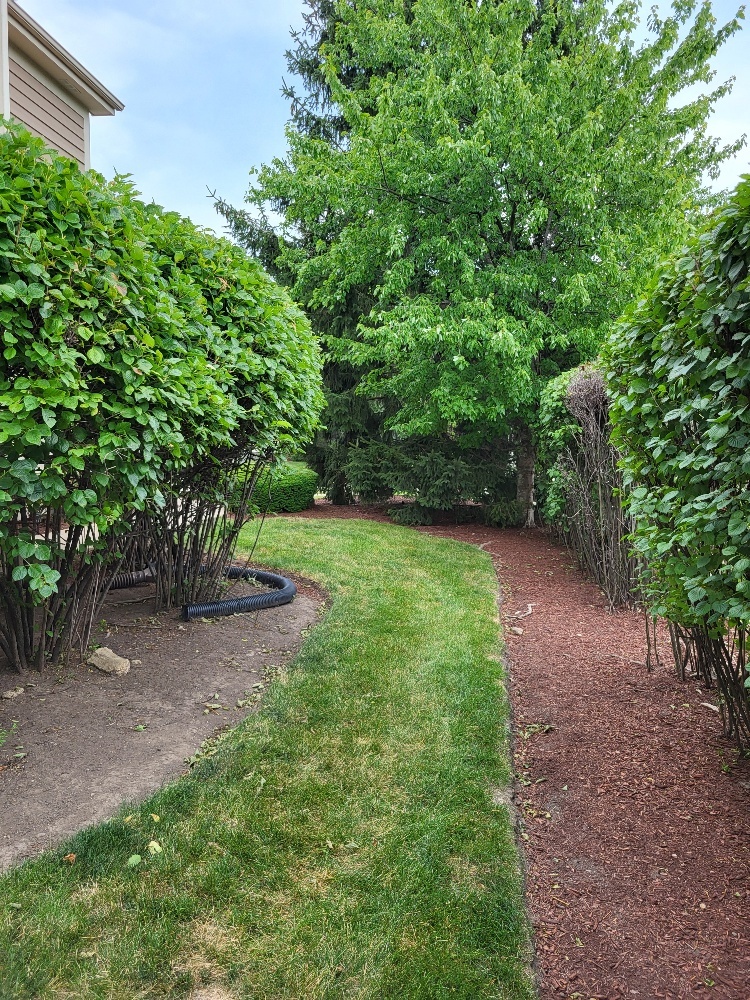 2949 Brossman Street Naperville, IL 60564 - Photo 60 of 61 a view of a trees with a yard