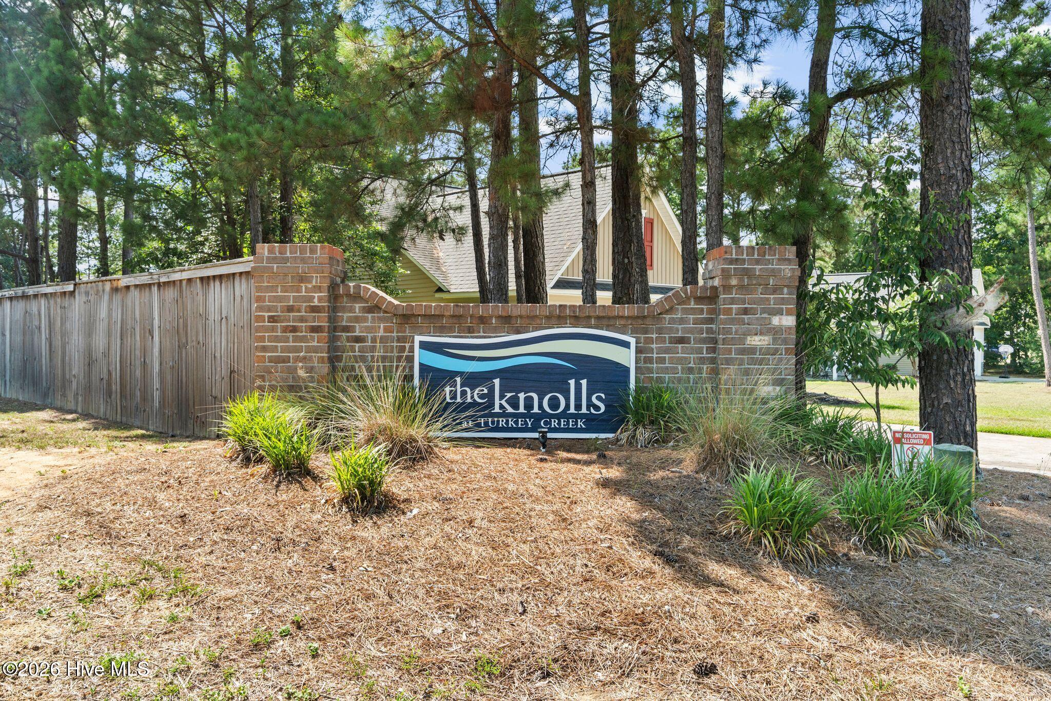 116 Sadie Way Rocky Point, NC 28457 - Photo 43 of 52