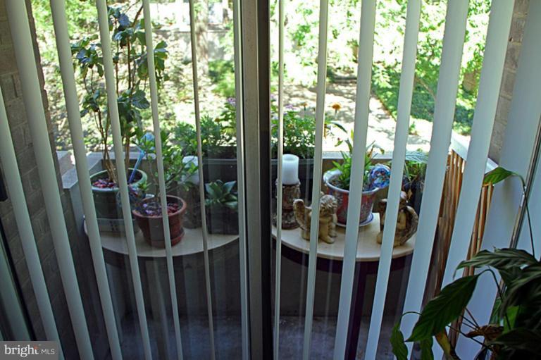 282 M Street Southwest, Unit 282 Washington, DC 20024 - Photo 15 of 19 Patio