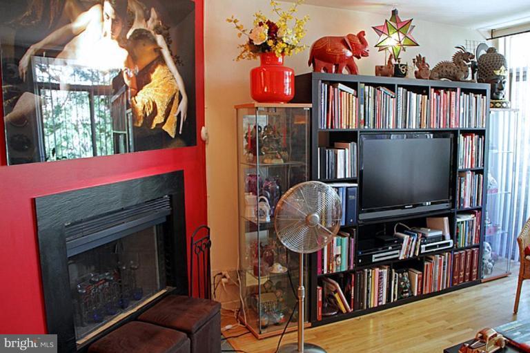 282 M Street Southwest, Unit 282 Washington, DC 20024 - Photo 7 of 19 Living Room #2
