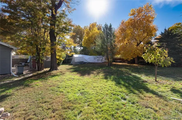 a house that has a tree in front of it