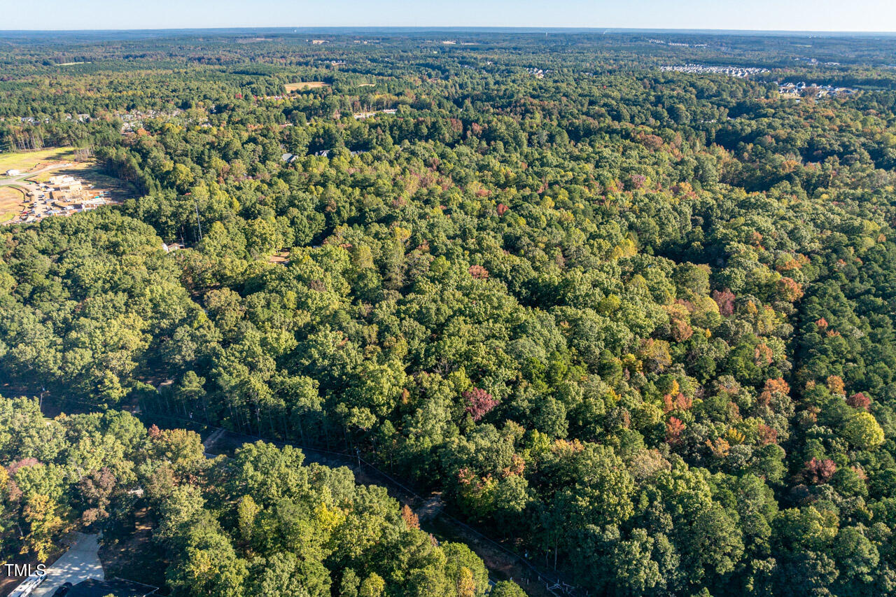 336 Raleigh Farms Road Youngsville, NC 27596 - Photo 22 of 52 336 N Raleigh Farms-22