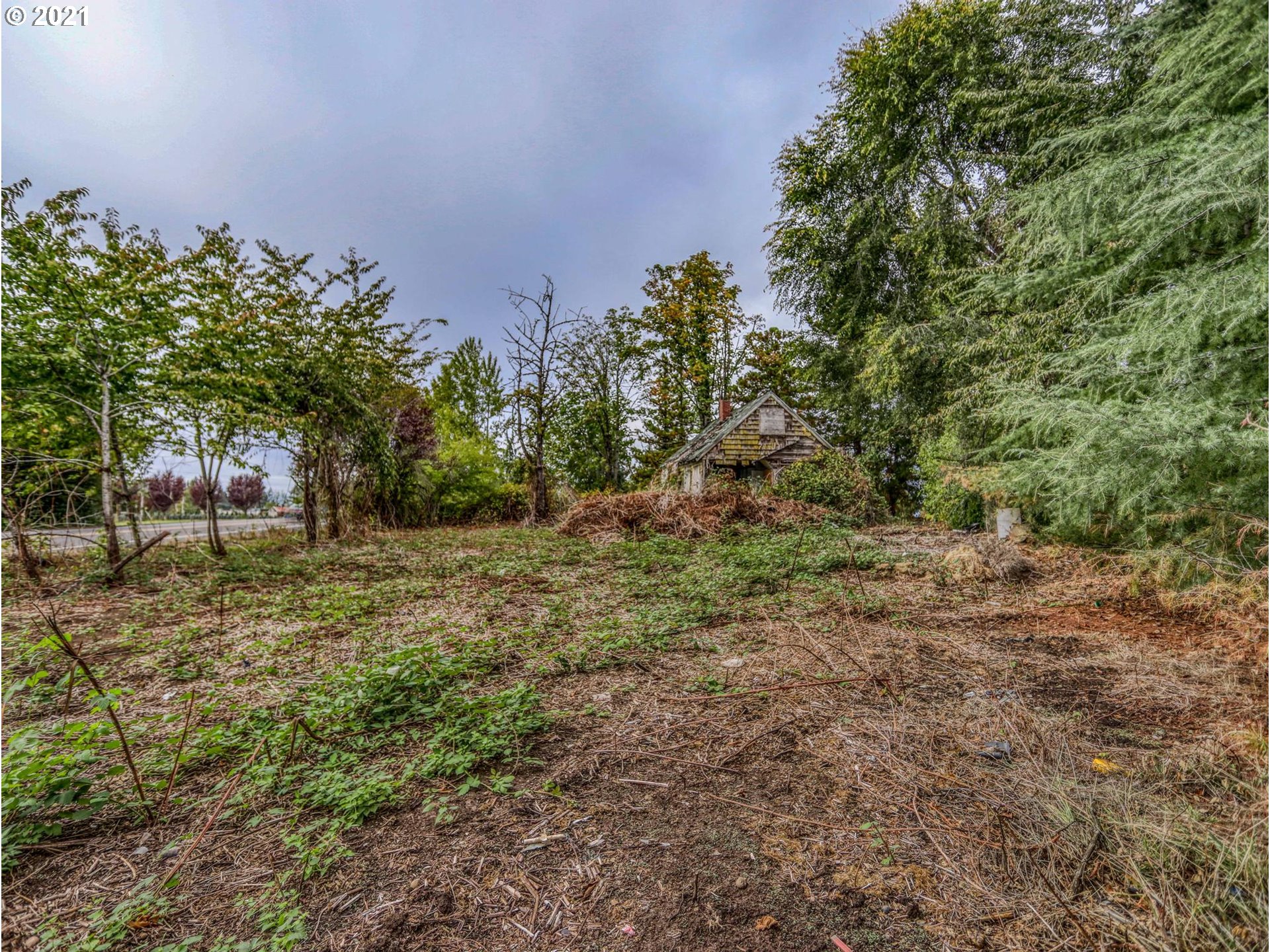 30148 Southeast Bluff Road Gresham, OR 97080 - Photo 13 of 22 a view of a yard