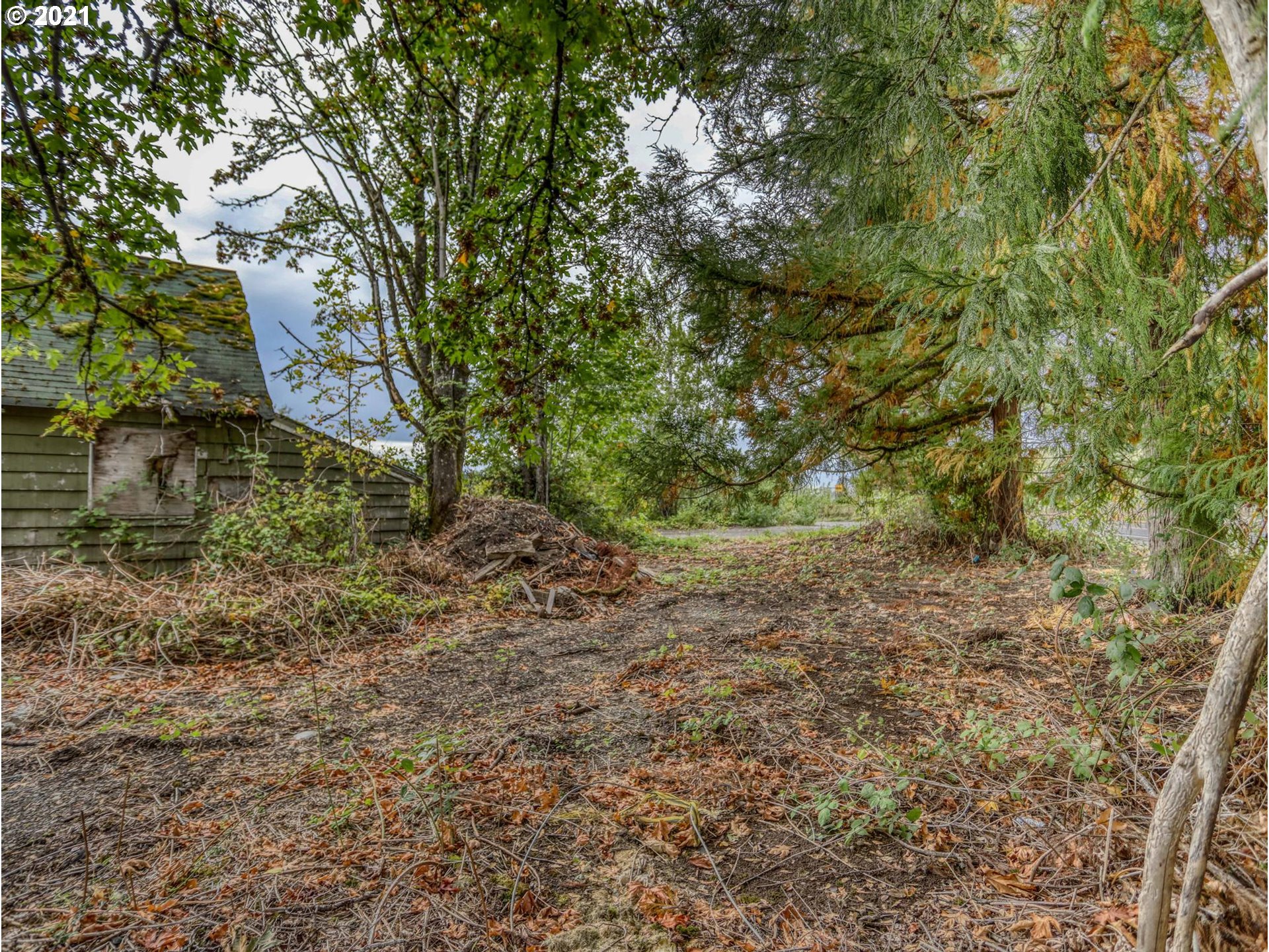 30148 Southeast Bluff Road Gresham, OR 97080 - Photo 17 of 22 a view of a yard with large trees