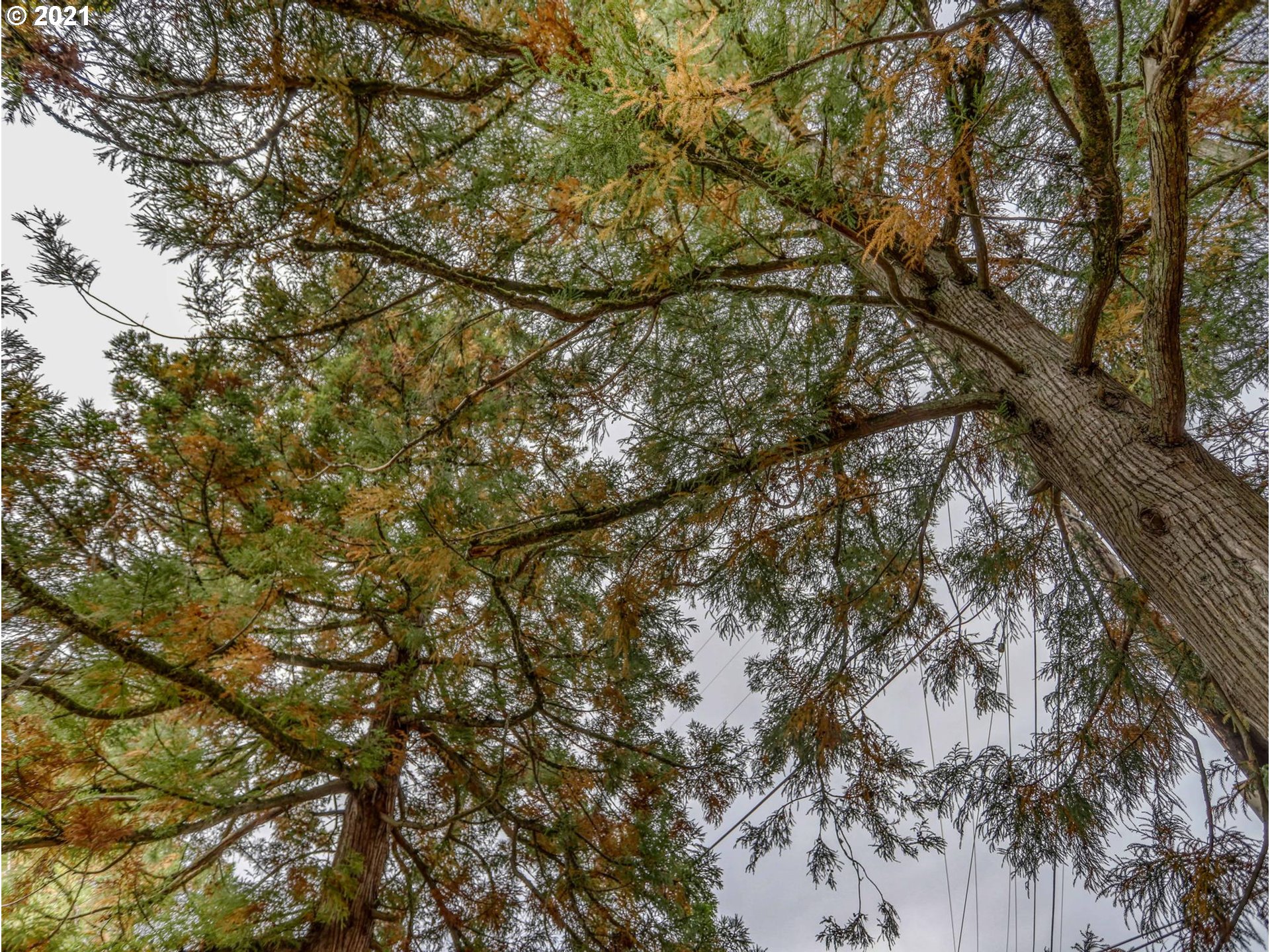 30148 Southeast Bluff Road Gresham, OR 97080 - Photo 18 of 22