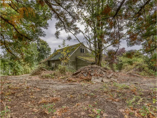 a view of a yard with a tree