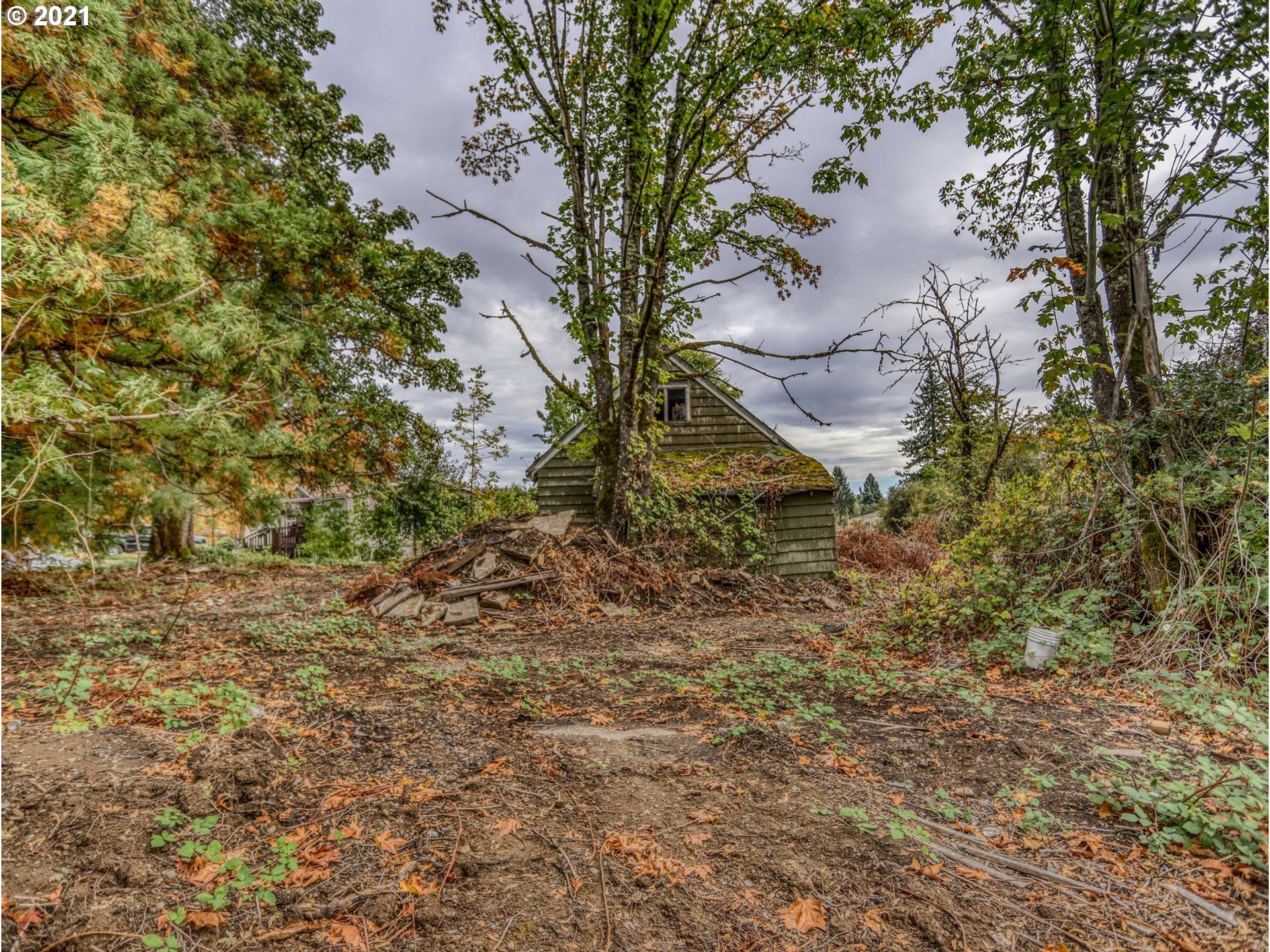 30148 Southeast Bluff Road Gresham, OR 97080 - Photo 20 of 22 a view of a yard