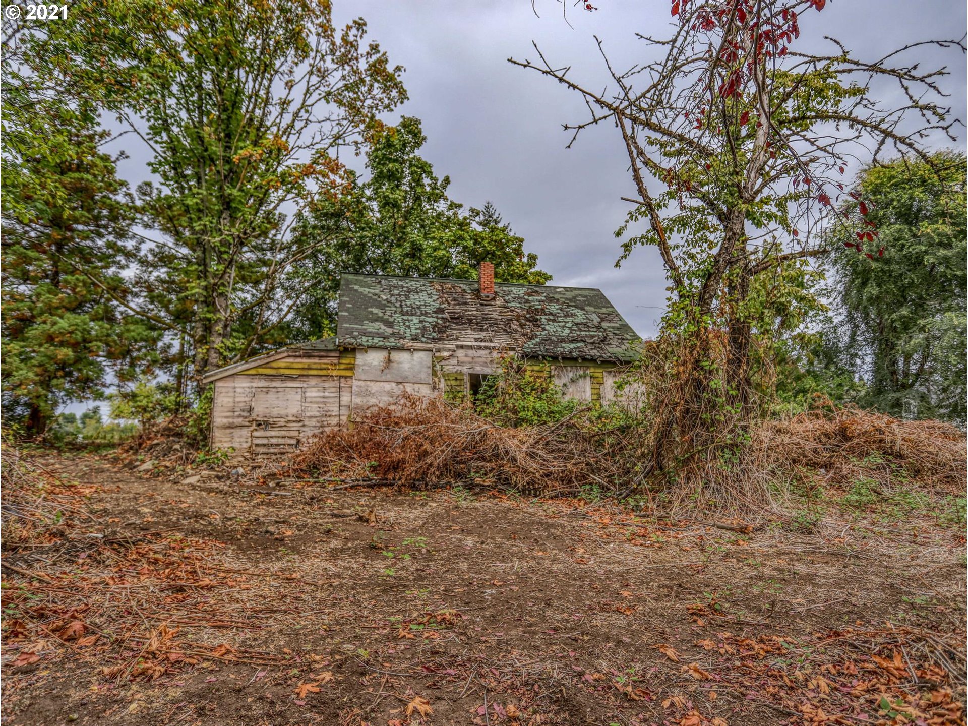 30148 Southeast Bluff Road Gresham, OR 97080 - Photo 21 of 22 a backyard of a house with lots of green space